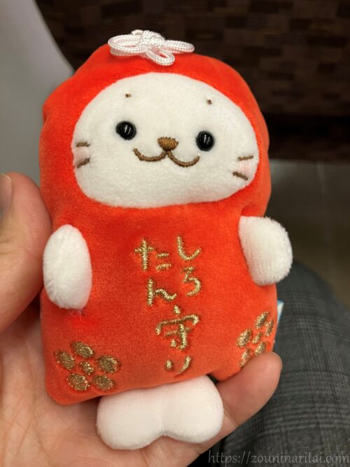 しろたん守り正面
