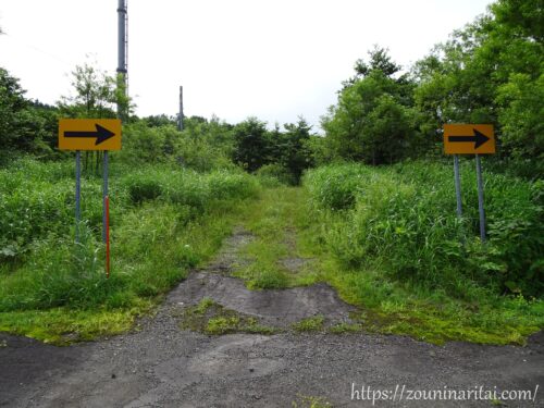 瀬棚線美利河駅付近の線路跡