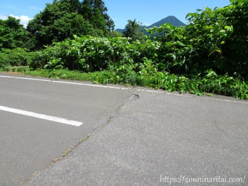 松前線渡島福島駅付近の線路跡