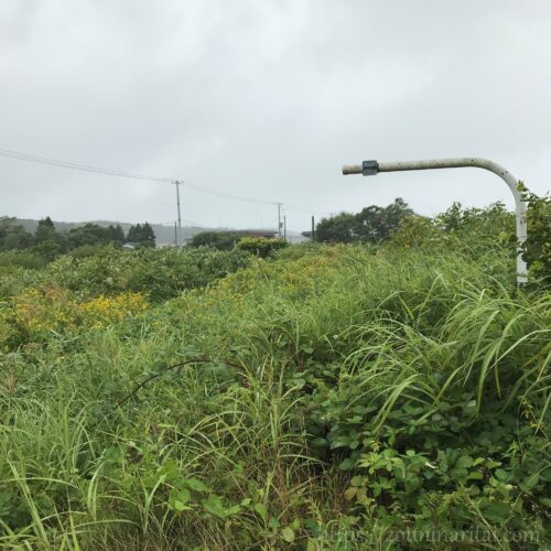 下北交通大畑線正津川駅跡