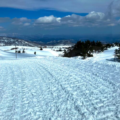 雪上車の通った跡が残る雪原