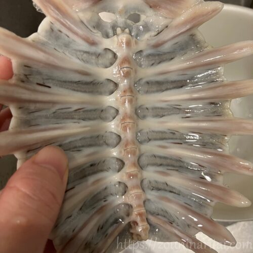 すっぽんの甲羅で魔除けを作る手順