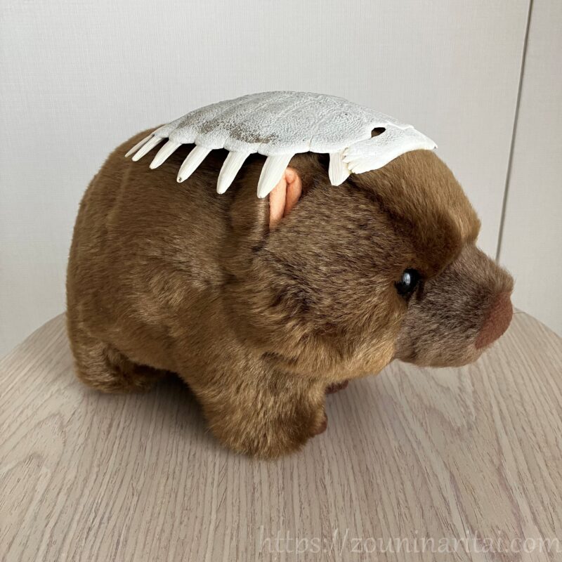 すっぽんの甲羅で作成した魔除けを装着するウォンバットのぬいぐるみ