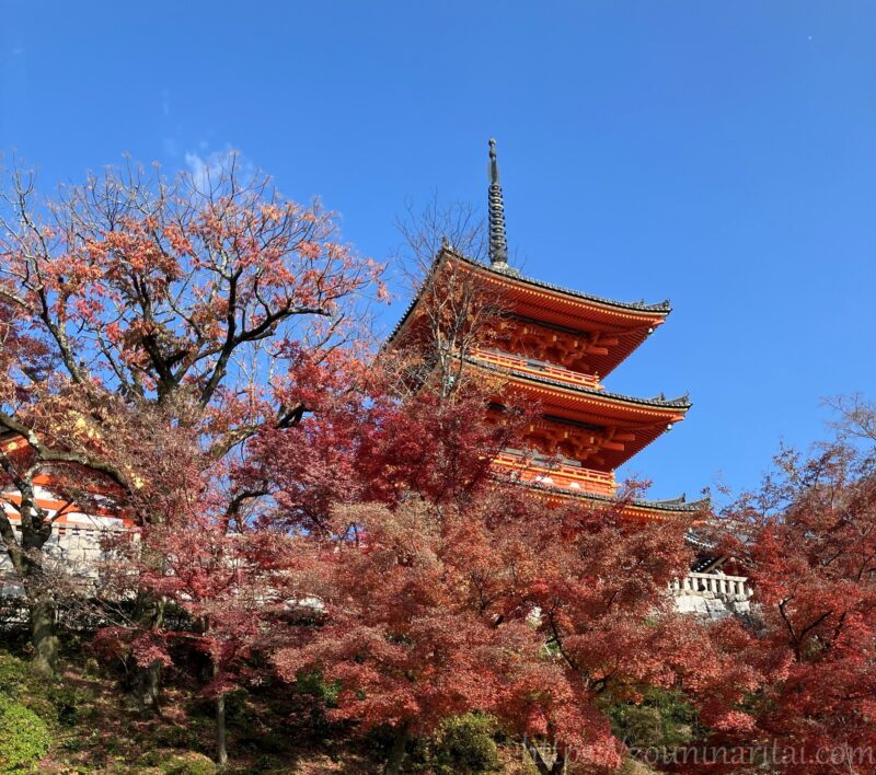 清水寺五重塔と紅葉