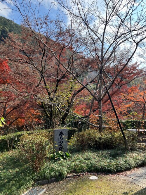 清水寺アテルイ・モレの碑の側にあるみちのく桜