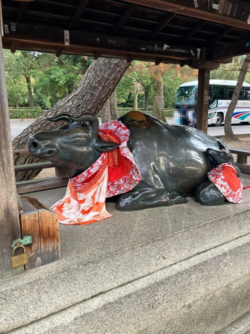 北野天満宮撫で牛