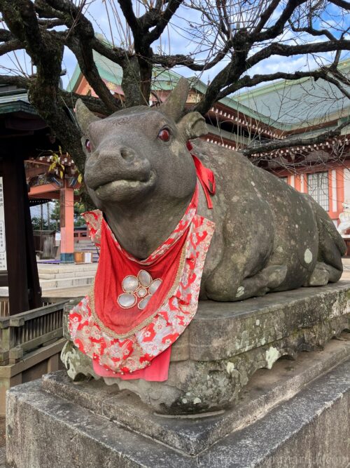 北野天満宮撫で牛