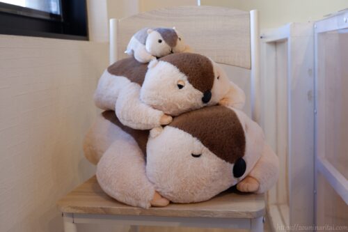 マーモット村店内のマーモットのぬいぐるみ