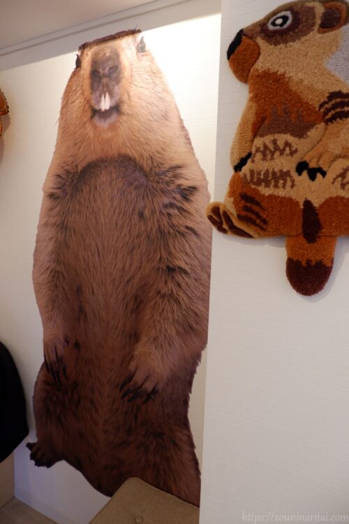 マーモット村店内のまもちさん巨大写真