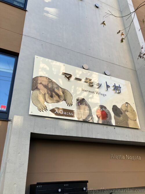 マーモット村入口