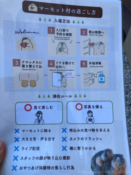 マーモット村の過ごし方