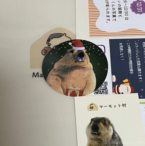 マーモット村のお土産
