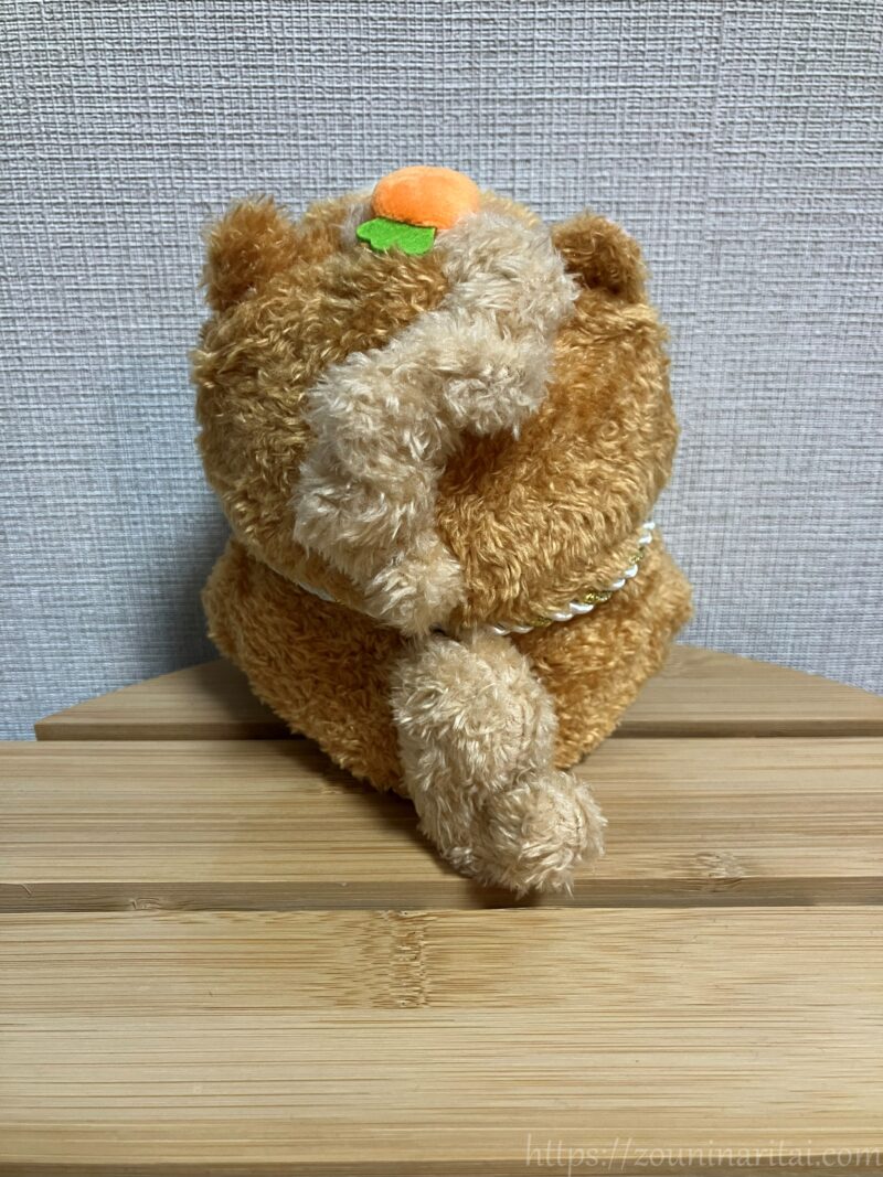 午の衣装を着たついたん後ろ姿