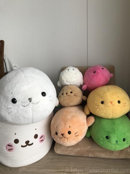 ぬいぐるみのお医者さんで綺麗にしてもらった初代しろたんのぬいぐるみ