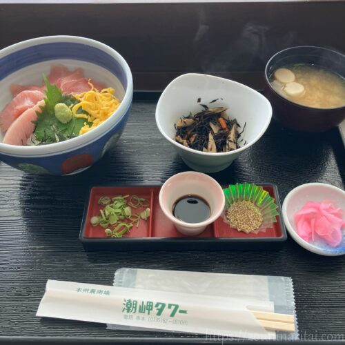 潮岬観光タワー内レストランの近大マグロ丼