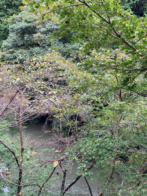 不動口館露天風呂付客室からの景色